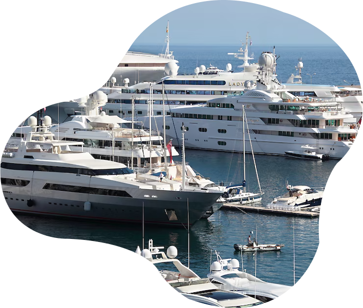 Yacht Crew